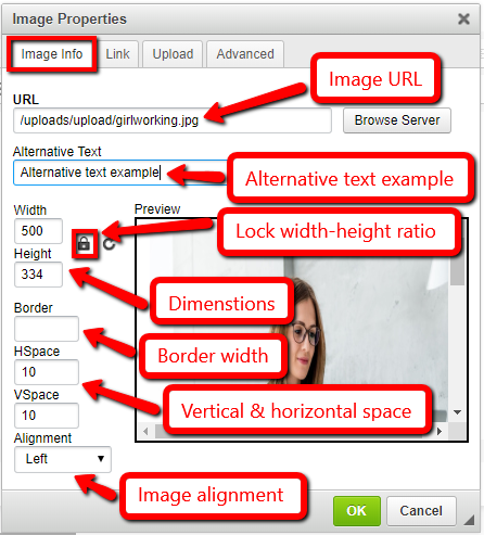 Adding Image JuiceBox Editor | Xi Digital Toronto | Custom Websites